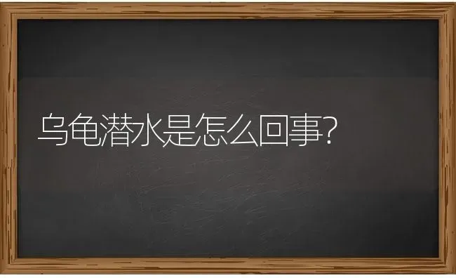 请问地图龟好养吗?地图龟怎么养？ | 动物养殖问答