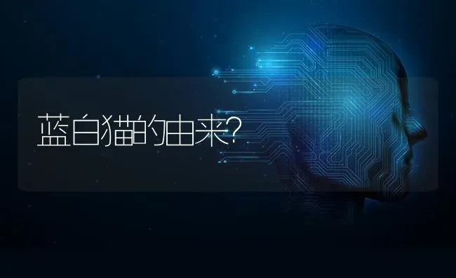 博美聪明还是泰迪聪明？ | 动物养殖问答