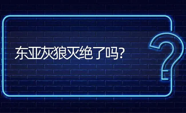 东亚灰狼灭绝了吗？ | 动物养殖问答