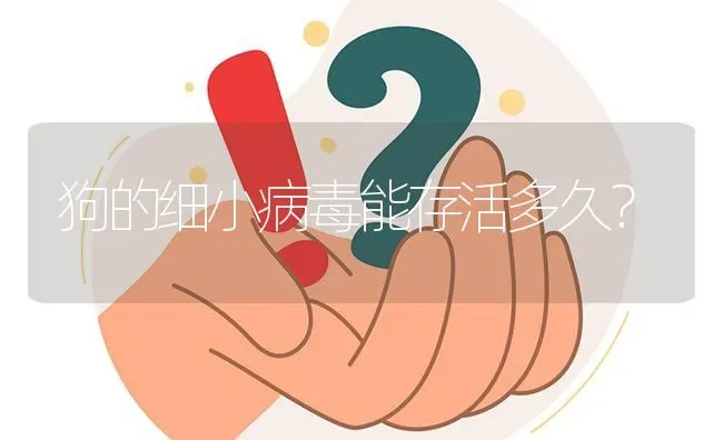 狗的细小病毒能存活多久？ | 动物养殖问答