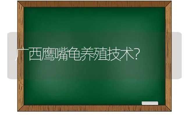 广西鹰嘴龟养殖技术？ | 动物养殖问答