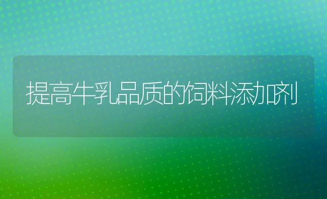 提高牛乳品质的饲料添加剂 | 动物养殖饲料