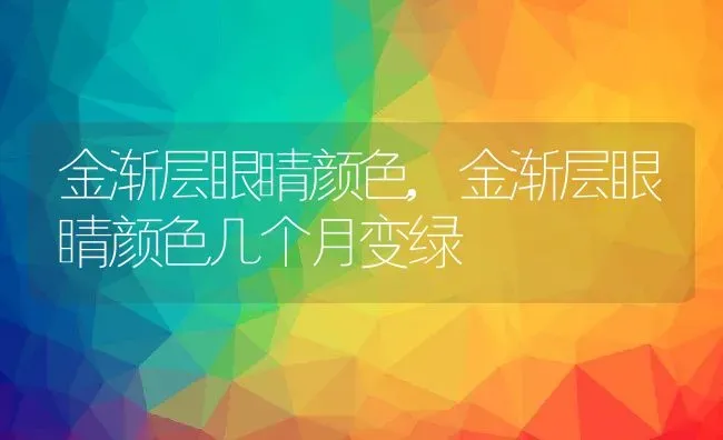 金渐层眼睛颜色,金渐层眼睛颜色几个月变绿 | 宠物百科知识