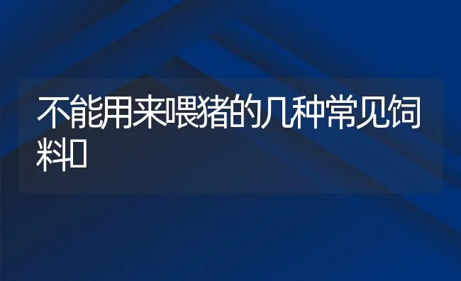 不能用来喂猪的几种常见饲料 | 动物养殖学堂