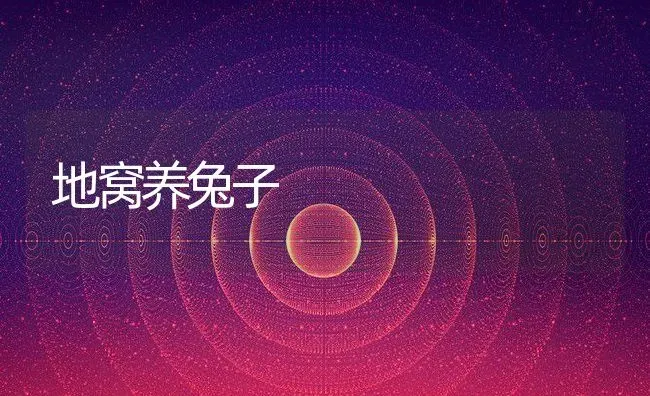 地窝养兔子 | 动物养殖教程