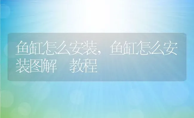 鱼缸怎么安装,鱼缸怎么安装图解 教程 | 宠物百科知识