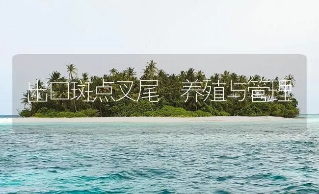 出口斑点叉尾鮰养殖与管理 | 海水养殖技术