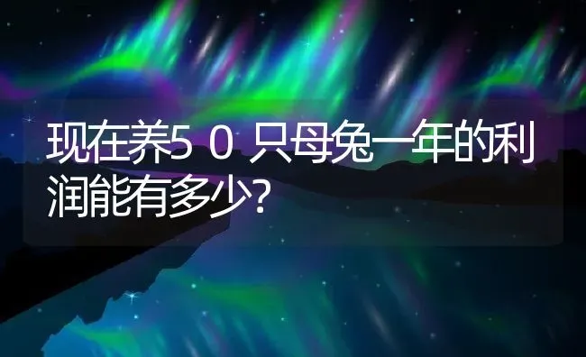 现在养50只母兔一年的利润能有多少？ | 动物养殖百科