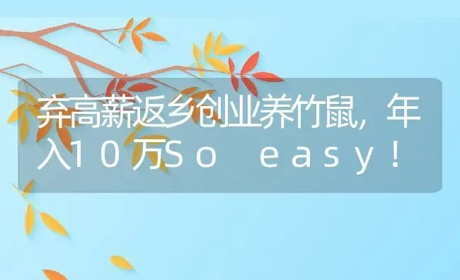 弃高薪返乡创业养竹鼠，年入10万So easy！ | 动物养殖百科