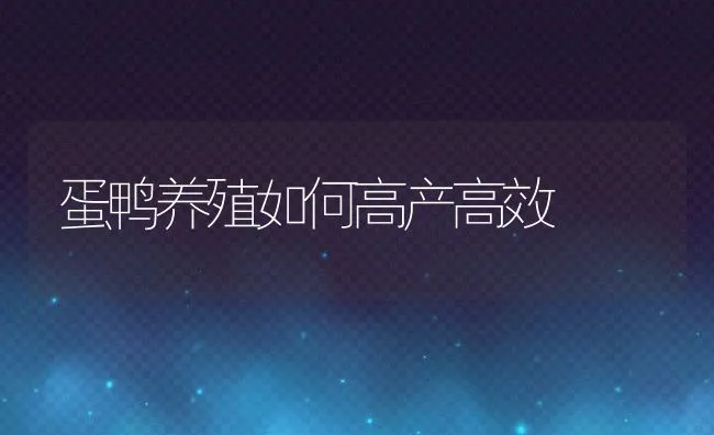 池塘青虾养殖技术 | 海水养殖技术