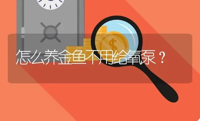 怎么养金鱼不用给氧泵？ | 鱼类宠物饲养