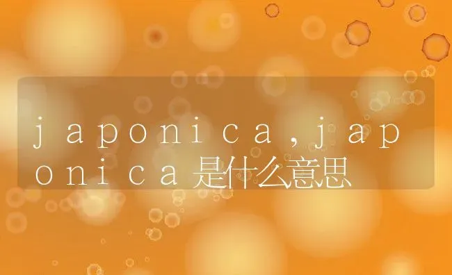 japonica,japonica是什么意思 | 宠物百科知识