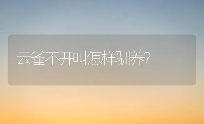 什么猫很冷酷？ | 动物养殖问答