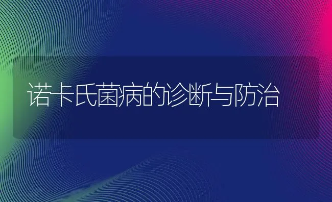 诺卡氏菌病的诊断与防治 | 水产养殖知识