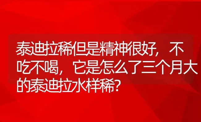 泰迪拉稀但是精神很好,不吃不喝，它是怎么了三个月大的泰迪拉水样稀？ | 宠物百科知识