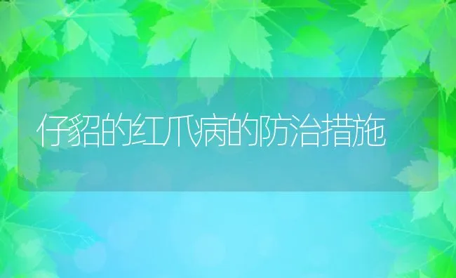 仔貂的红爪病的防治措施 | 动物养殖学堂