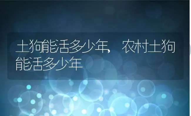 土狗能活多少年,农村土狗能活多少年 | 宠物百科知识