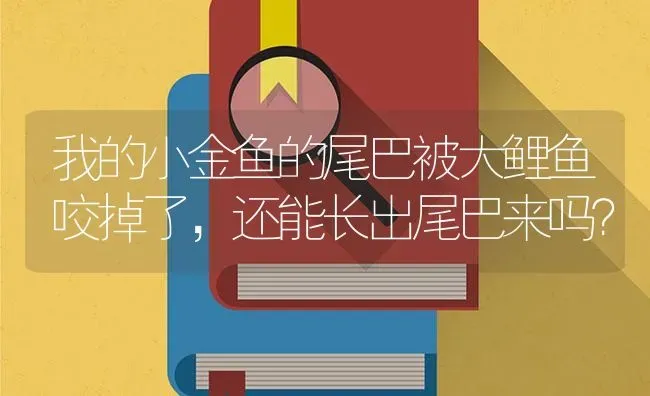 我的小金鱼的尾巴被大鲤鱼咬掉了，还能长出尾巴来吗？ | 鱼类宠物饲养