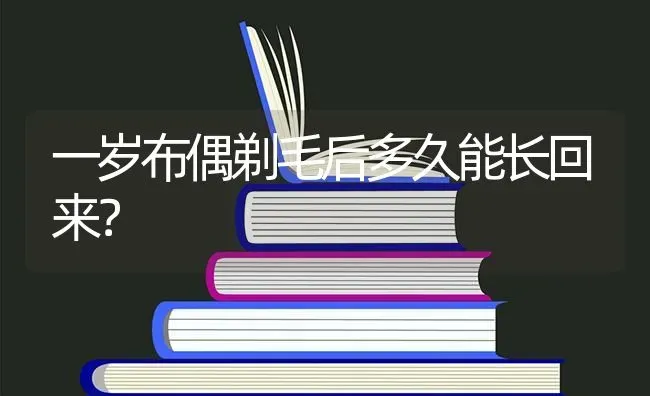 一岁布偶剃毛后多久能长回来？ | 动物养殖问答