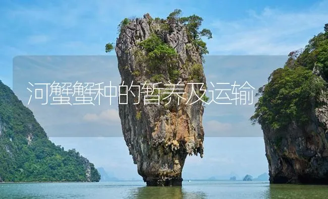 河蟹蟹种的暂养及运输 | 海水养殖技术