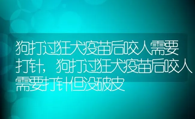 狗打过狂犬疫苗后咬人需要打针,狗打过狂犬疫苗后咬人需要打针但没破皮 | 宠物百科知识