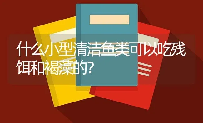 什么小型清洁鱼类可以吃残饵和褐藻的？ | 鱼类宠物饲养