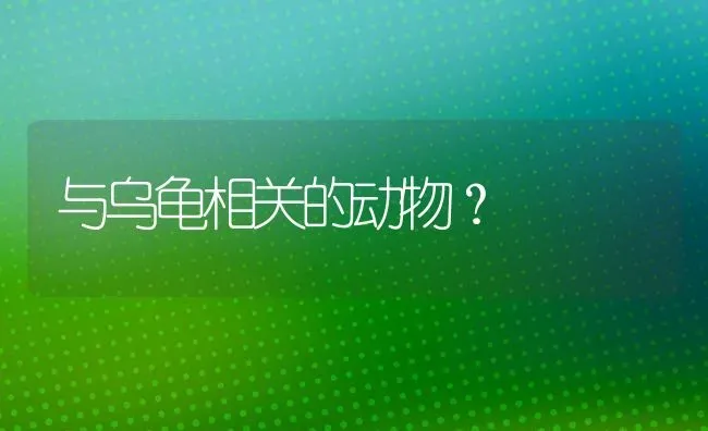 一岁的边牧怎么认主？ | 动物养殖问答