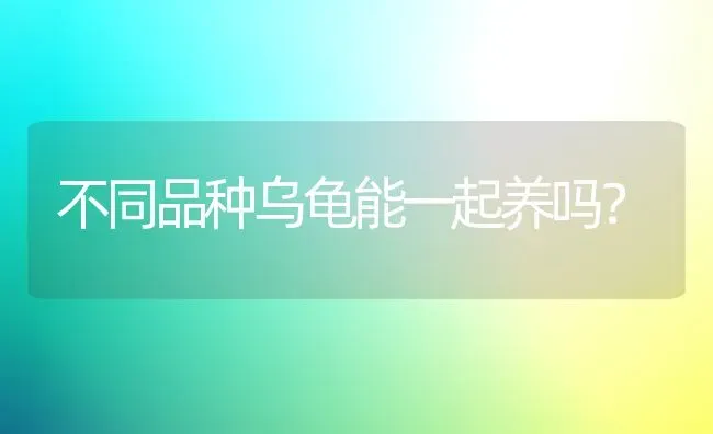 不同品种乌龟能一起养吗？ | 动物养殖问答