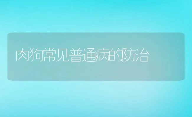 肉狗常见普通病的防治 | 动物养殖学堂