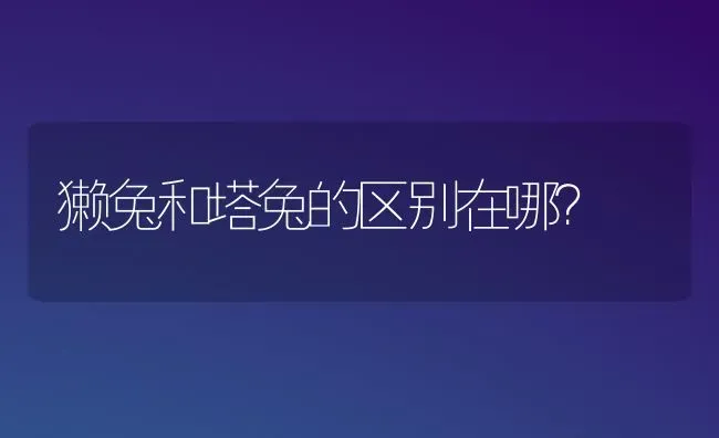 獭兔和塔兔的区别在哪？ | 动物养殖问答