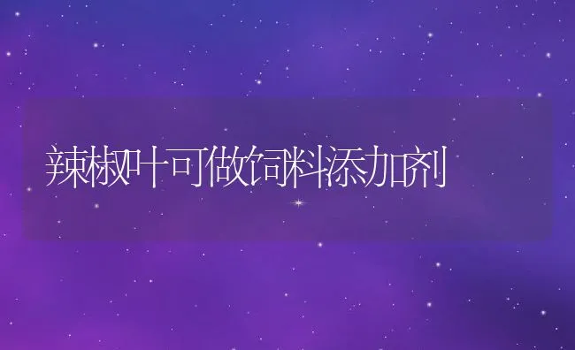 如何护理发高烧的病牛 | 动物养殖学堂