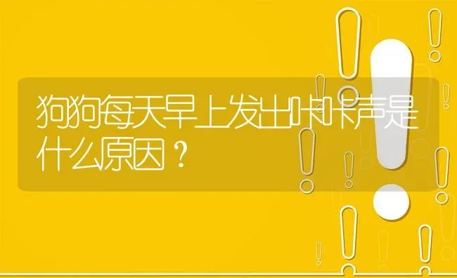 狗狗每天早上发出咔咔声是什么原因？ | 动物养殖问答