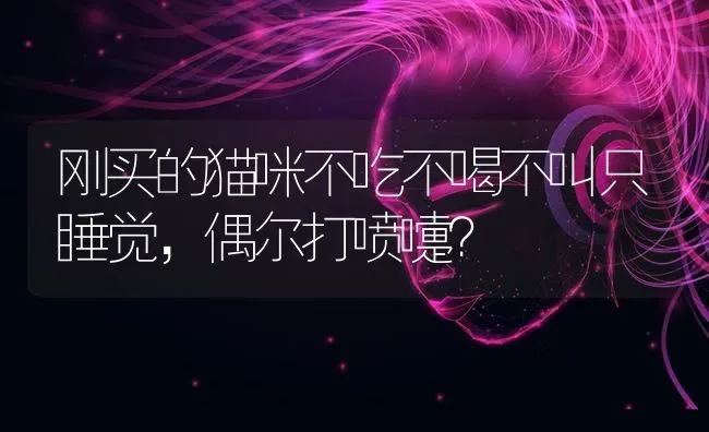 六个月阿拉斯加应该多大？ | 动物养殖问答