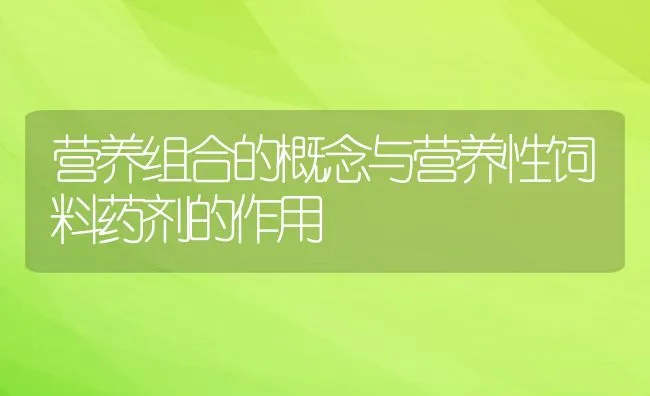 营养组合的概念与营养性饲料药剂的作用 | 动物养殖饲料