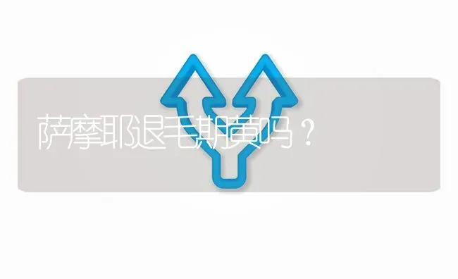 萨摩耶退毛期黄吗？ | 动物养殖问答