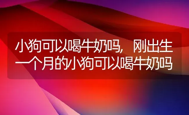 小狗可以喝牛奶吗,刚出生一个月的小狗可以喝牛奶吗 | 宠物百科知识