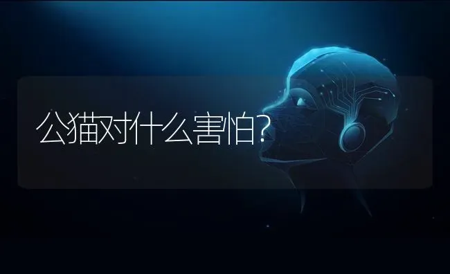 公猫对什么害怕？ | 动物养殖问答