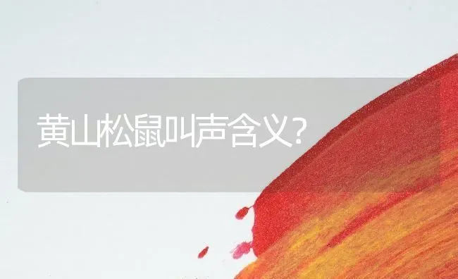 黄山松鼠叫声含义？ | 动物养殖问答