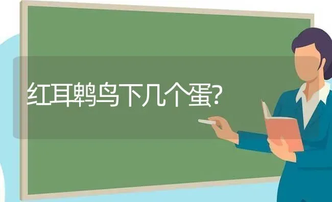 火焰龟为什么有的发红有的发黄？ | 动物养殖问答