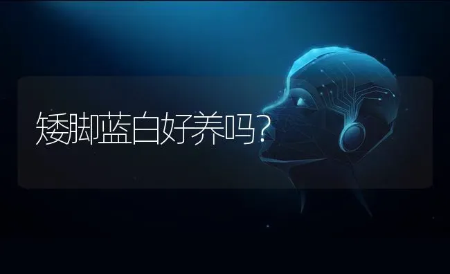 金毛生狗狗前有什么征兆？ | 动物养殖问答