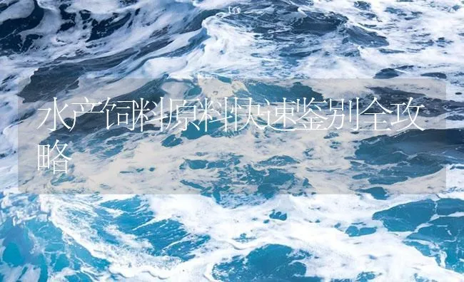 水产饲料原料快速鉴别全攻略 | 海水养殖技术