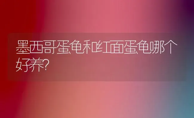 墨西哥蛋龟和红面蛋龟哪个好养？ | 动物养殖问答