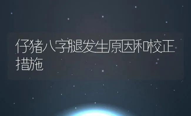 仔猪八字腿发生原因和校正措施 | 动物养殖饲料