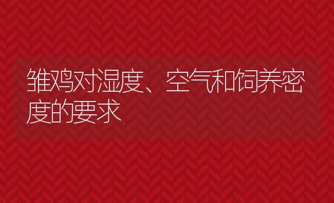 雏鸡对湿度、空气和饲养密度的要求 | 动物养殖饲料