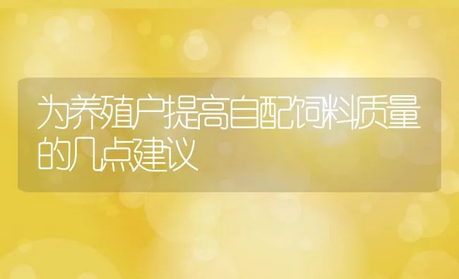 为养殖户提高自配饲料质量的几点建议 | 动物养殖学堂