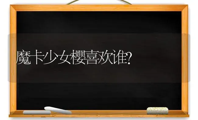 魔卡少女樱喜欢谁？ | 动物养殖问答