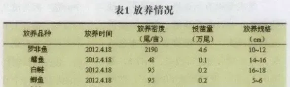 新吉富罗非鱼健康养殖模式试验