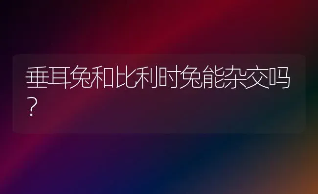 垂耳兔和比利时兔能杂交吗？ | 动物养殖问答