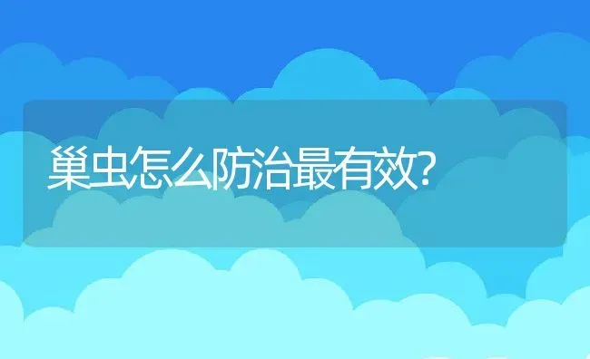 巢虫怎么防治最有效？ | 动物养殖教程