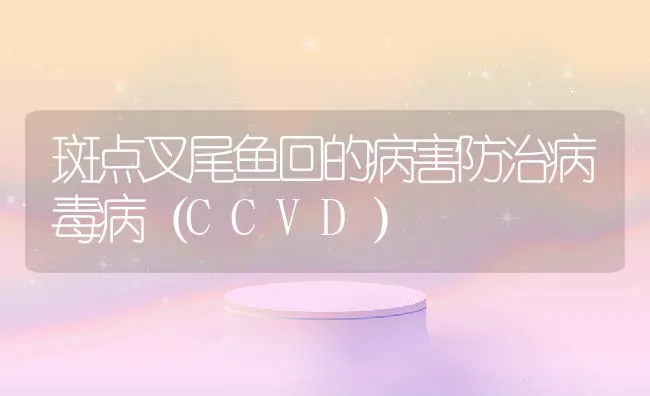 斑点叉尾鱼回的病害防治病毒病（CCVD） | 水产养殖知识